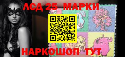 гидропоника Будённовск