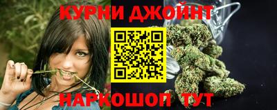 гидропоника Будённовск