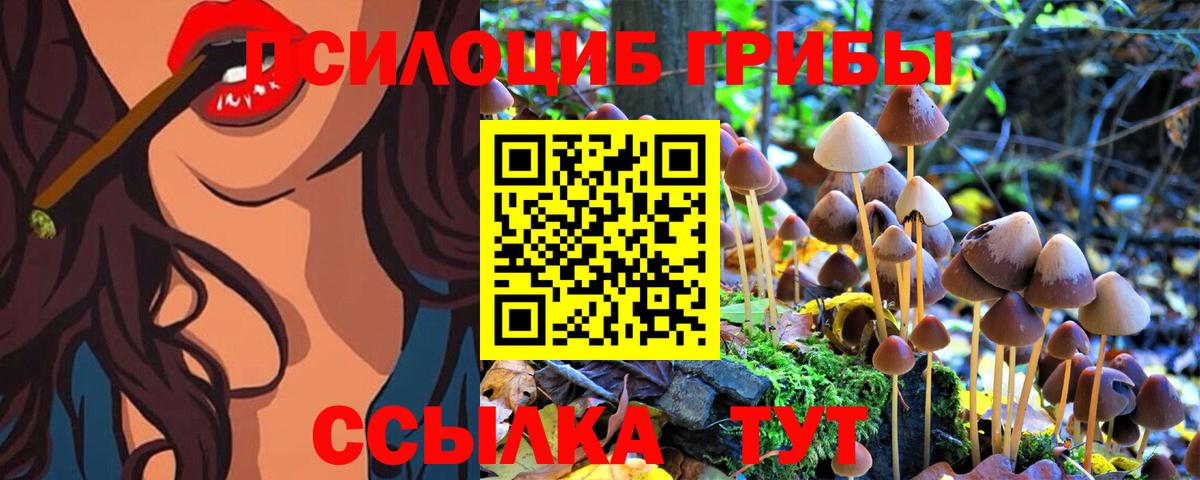 Псилоцибиновые грибы ЛСД Йошкар-Ола