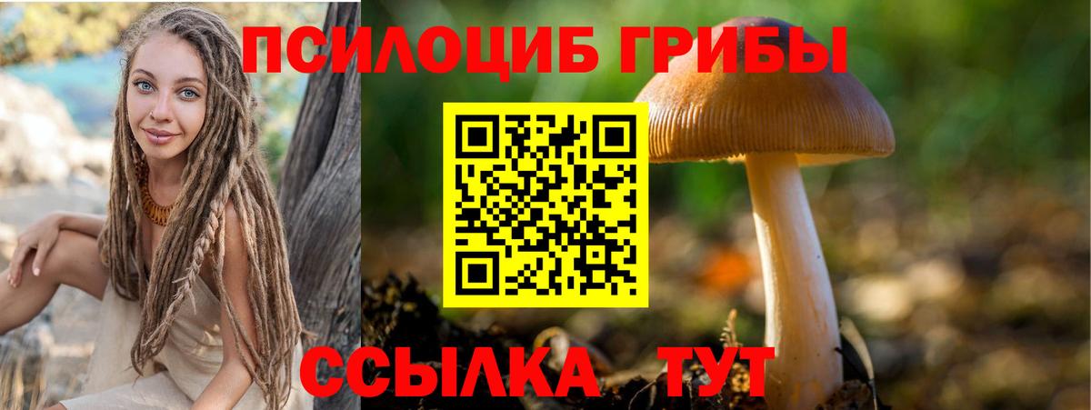 Галлюциногенные грибы прущие грибы  Вход с VPN  Йошкар-Ола 